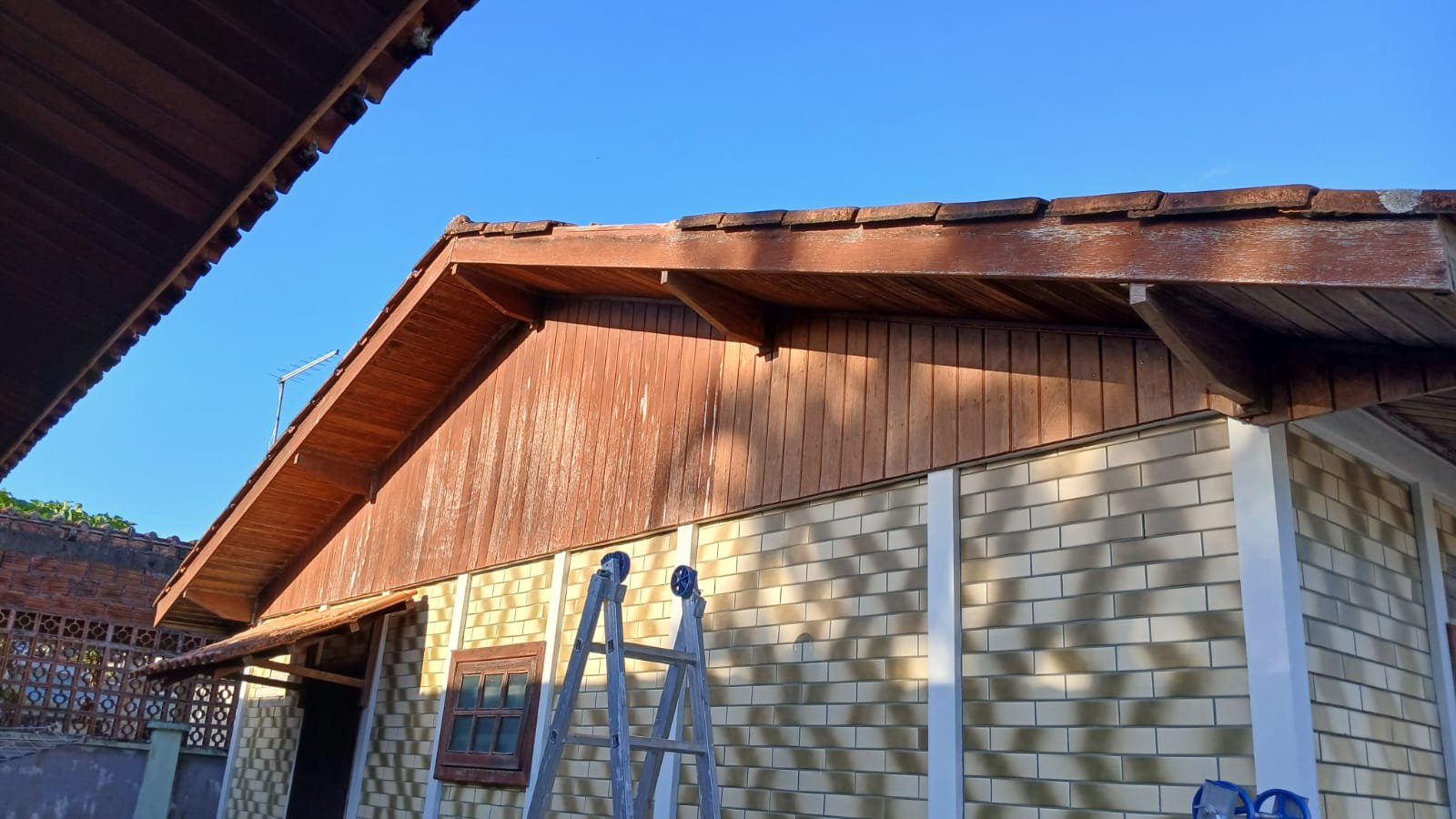 WhatsApp Image 2026-03-06 at 12.26.04 (1)