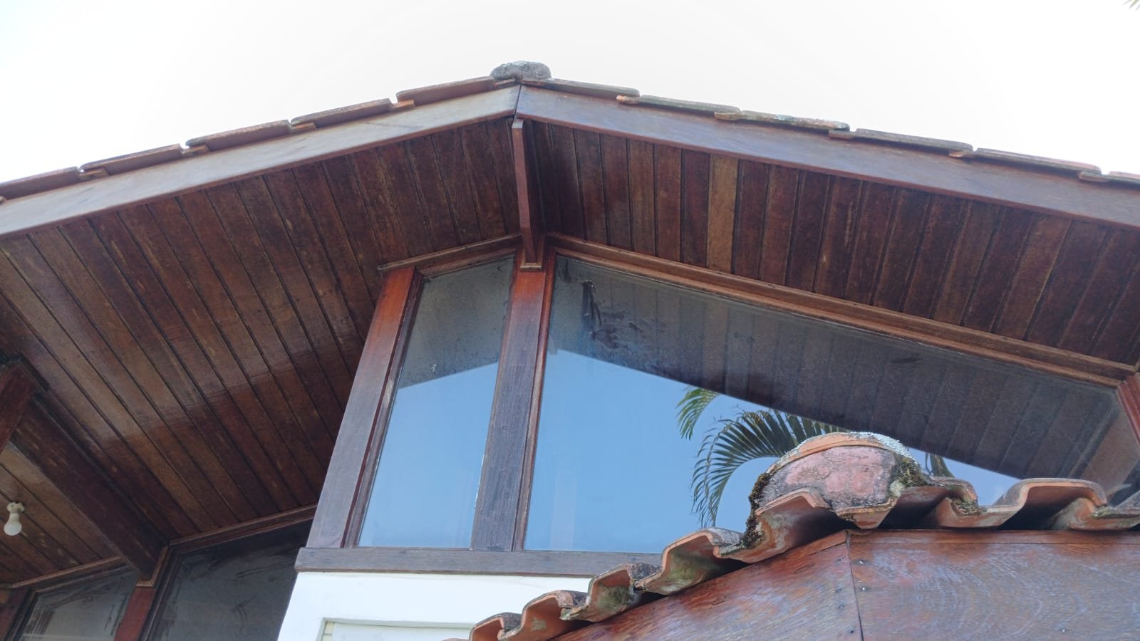 WhatsApp Image 2026-03-06 at 12.26.07